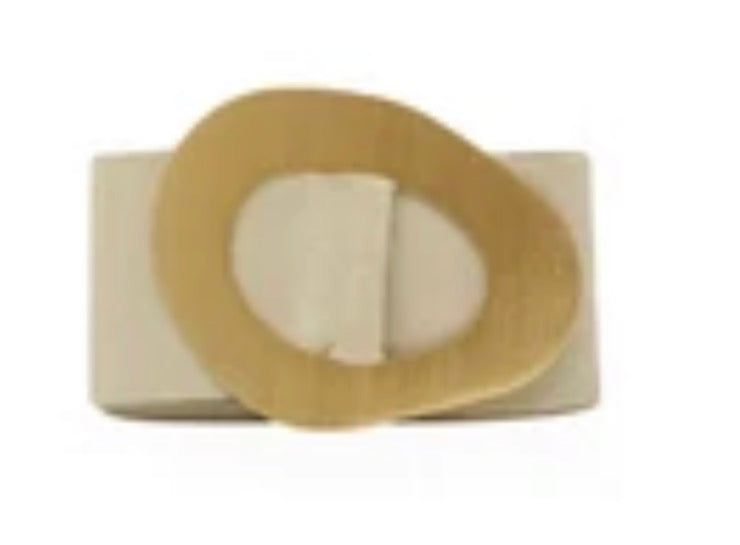 GOLD METALLIC BUCKLE BELT (4 colors)