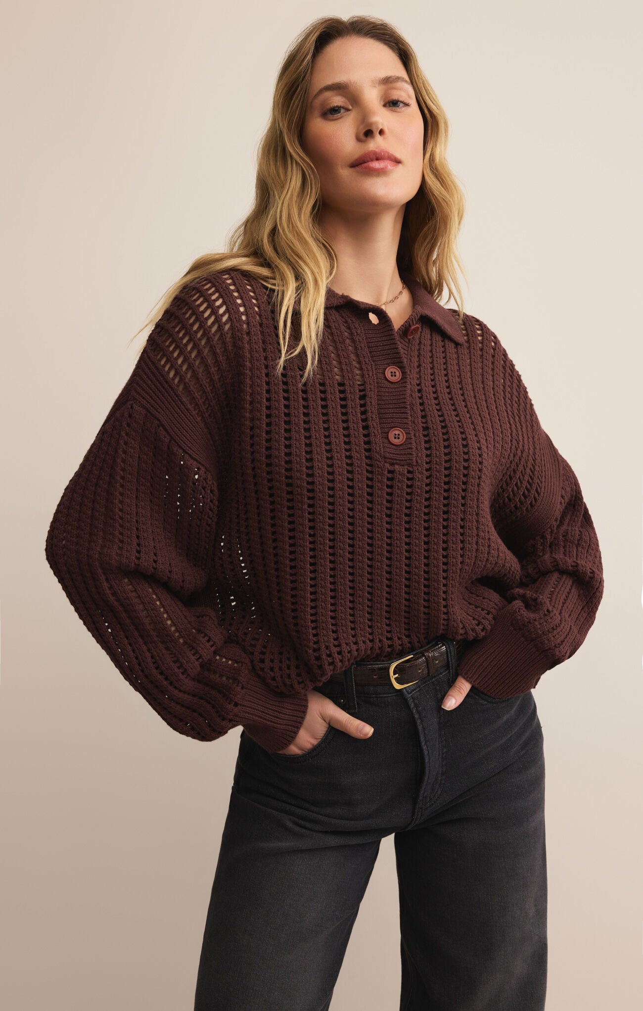 Looking glass polo sweater ZSupply