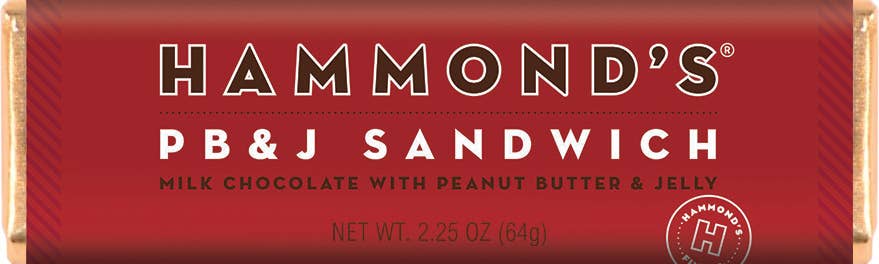 PB & J Sandwich Milk Chocolate Candy Bar 2.25oz