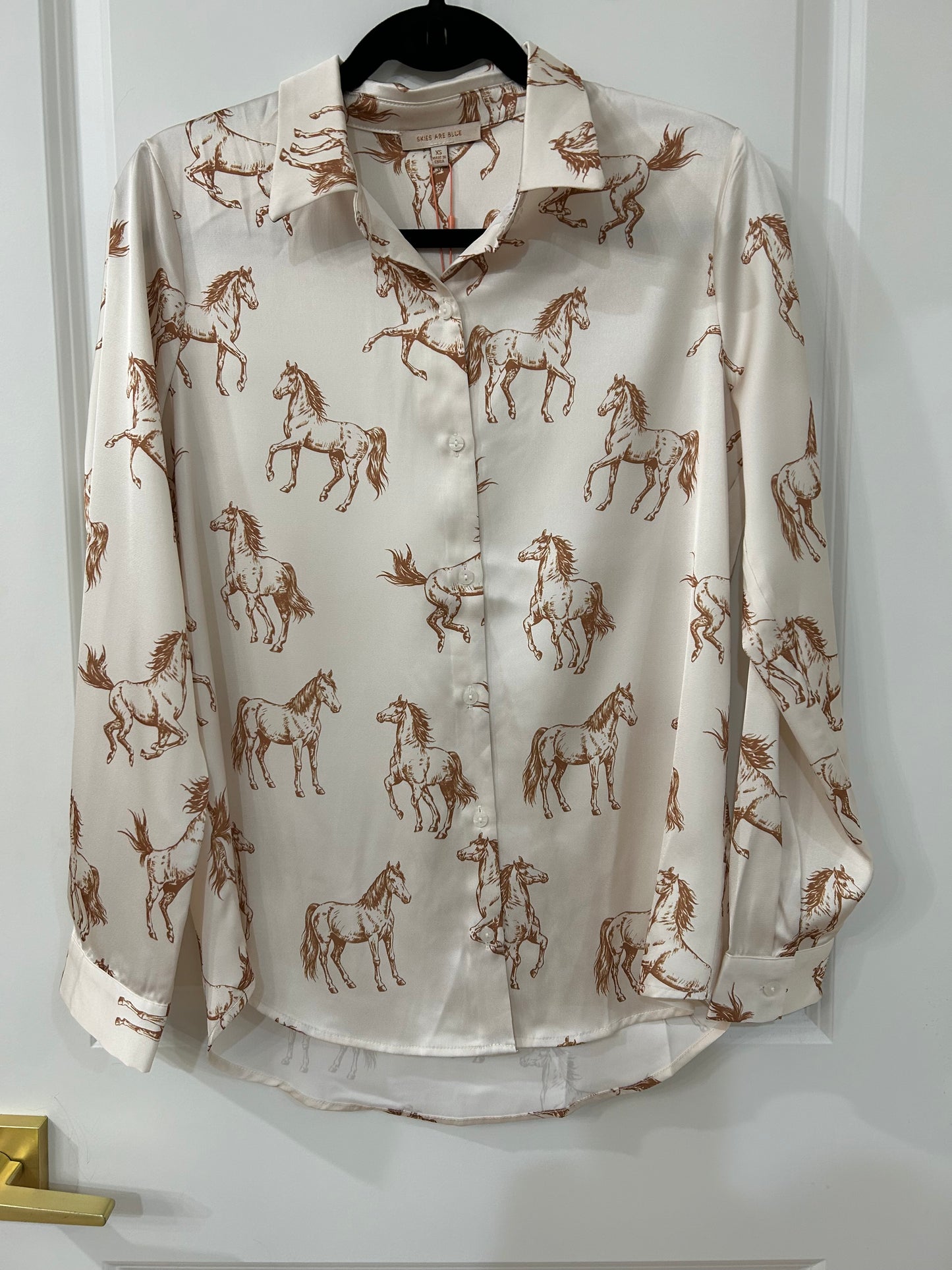 Horse button down