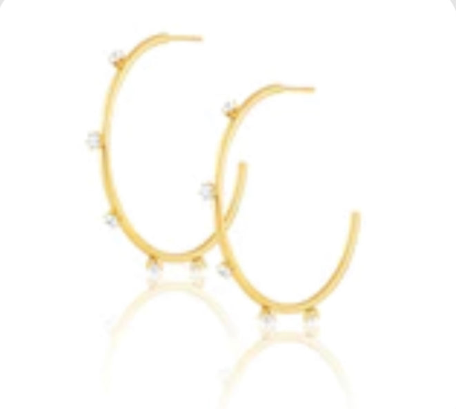 Aster Hoops