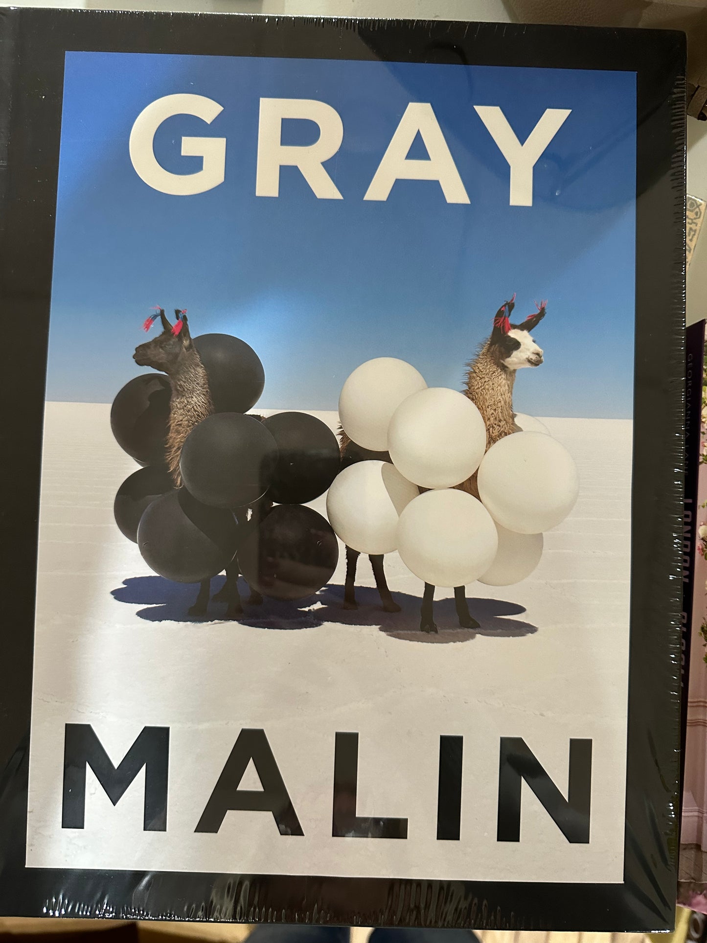 Gray Malin Book