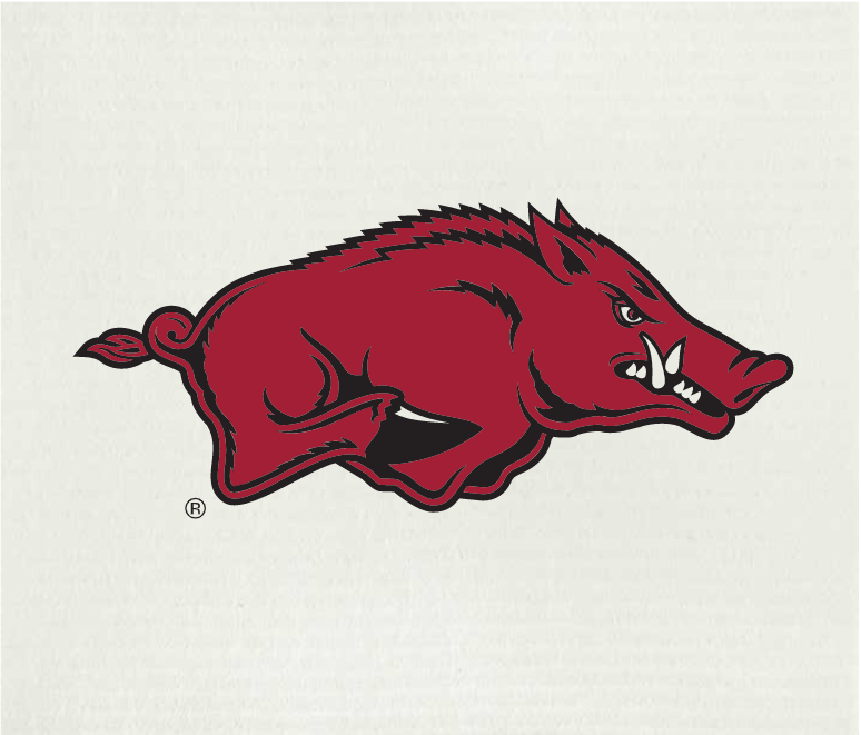 University of Arkansas Swedish Cloth