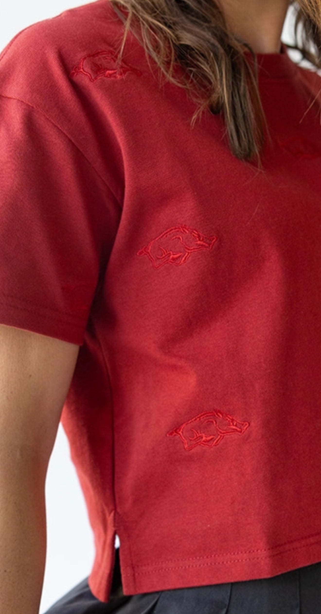 Arkansas Ritter Crop Tee