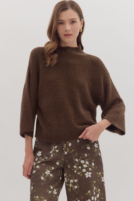 bara brown sweater top