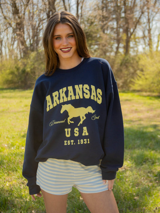 AR DIAMOND RANCH SWEATSHIRT
