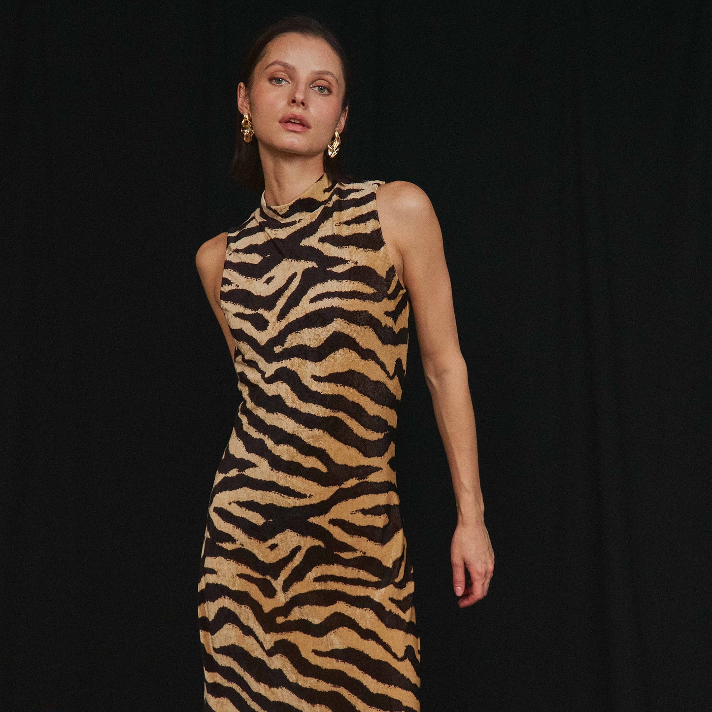 Zebra print maxi dress