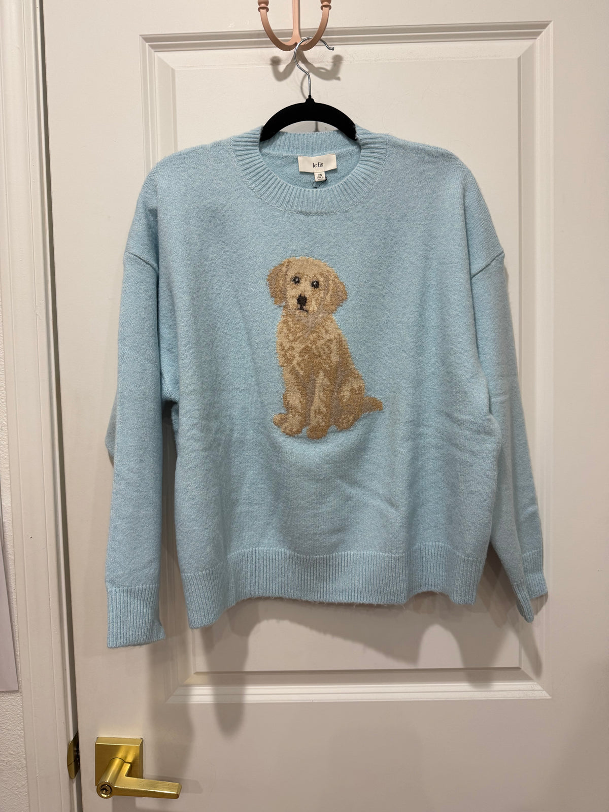 Golden Doodle Dog sweater - Lt blue