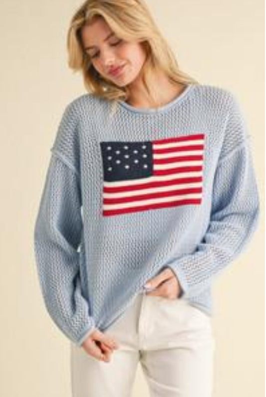 USA L/S - powder blue