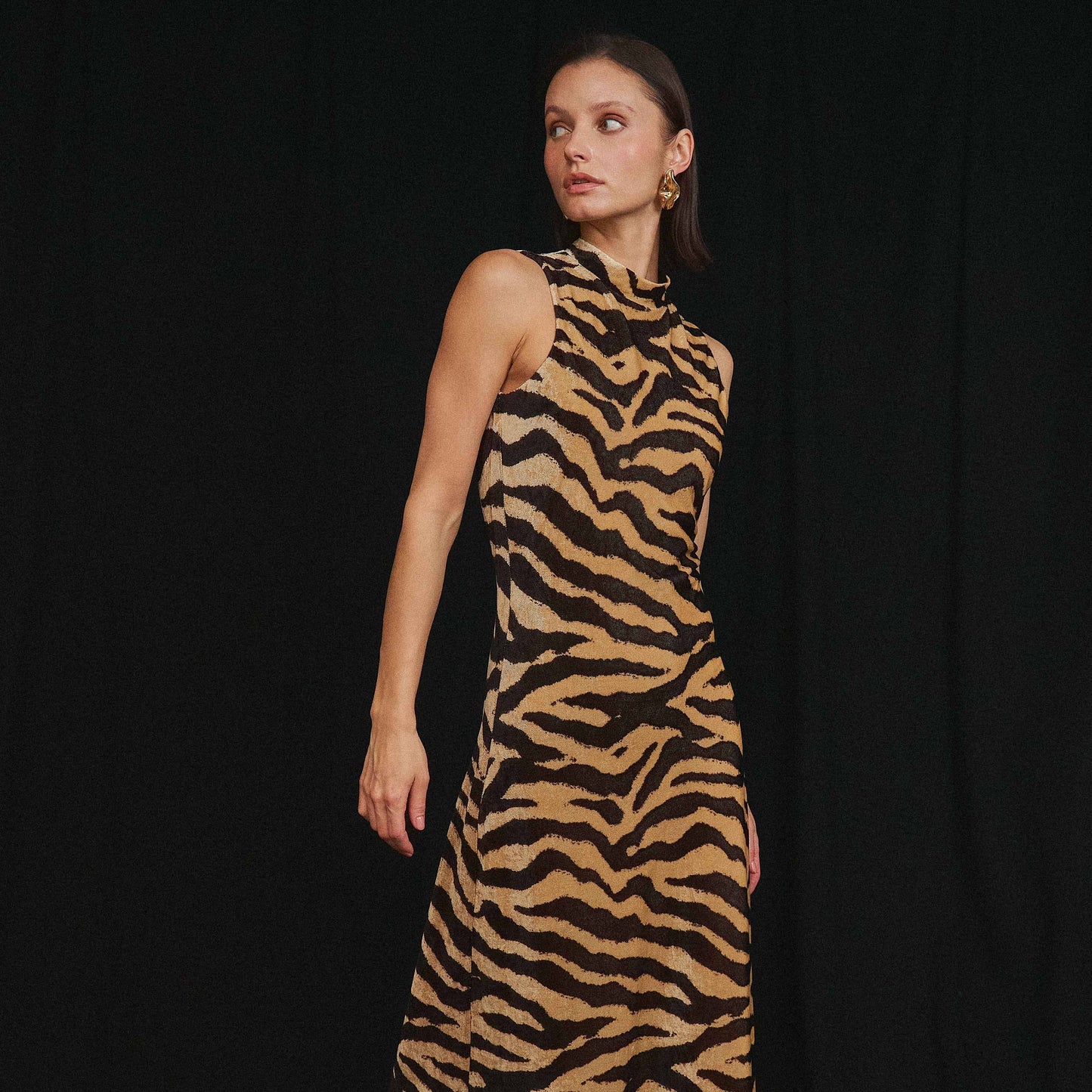 Zebra print maxi dress