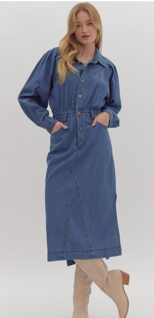 Envy Denim Dress