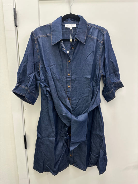 Keely denim mini