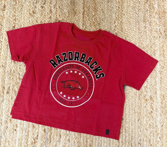 Arkansas Sayler Star Heavyweight Crop Tee