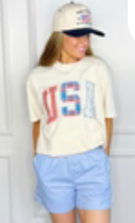 USA Patchwork Cropped Tee