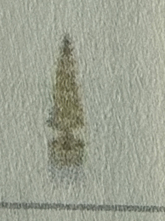 LED rotating Tree w/gold 13” medium