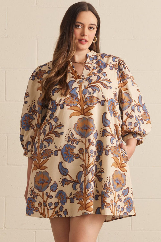 Barry mini Dress (curvy) 3 colors