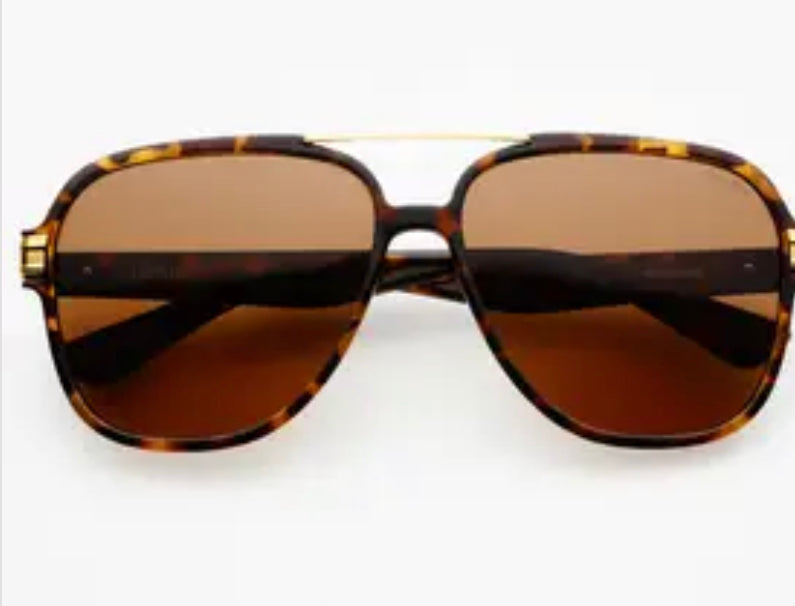 Spencer Tortoise Polarized Sunglasses Tortoise / Brown