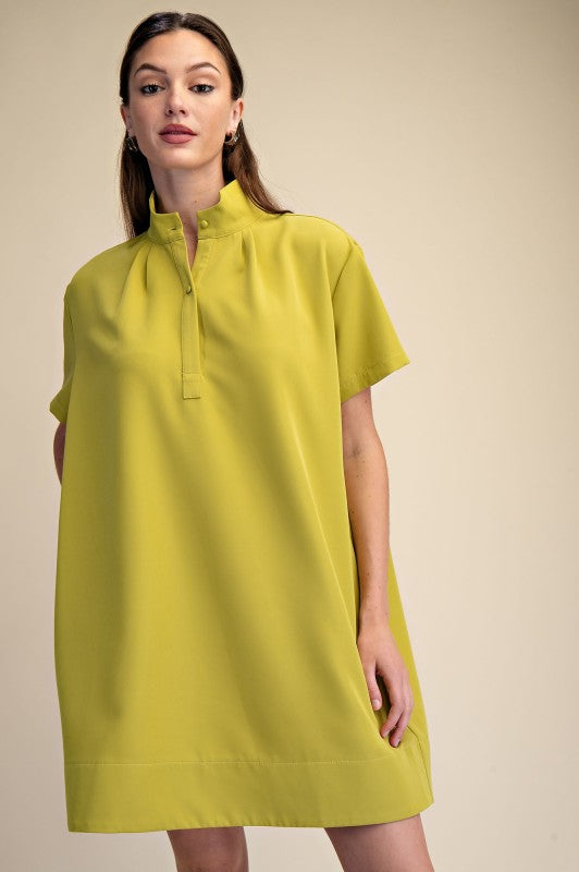 darcy mini dress (2 colors)