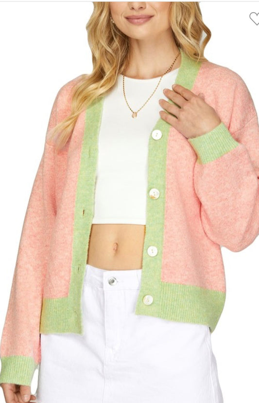 amelia cardi