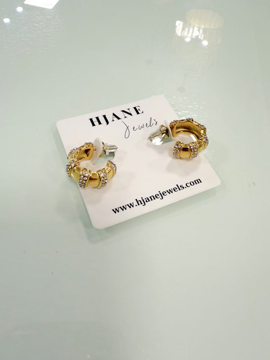 Camryn Hoops HJANE