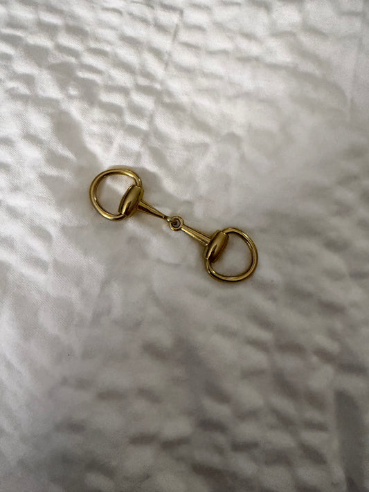 Horse bit accessory