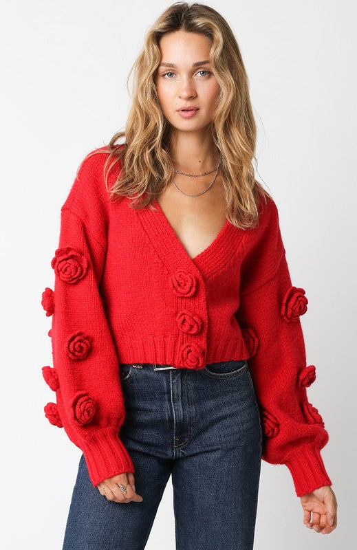 anastasia rose sweater