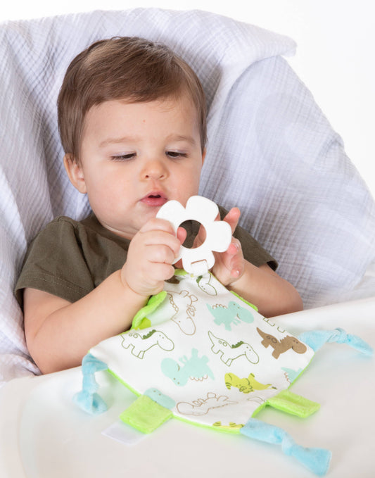 Dinosaurs Crinkle Blankie