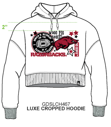 Arkansas Layer Patch Luxe Crop Hoodie