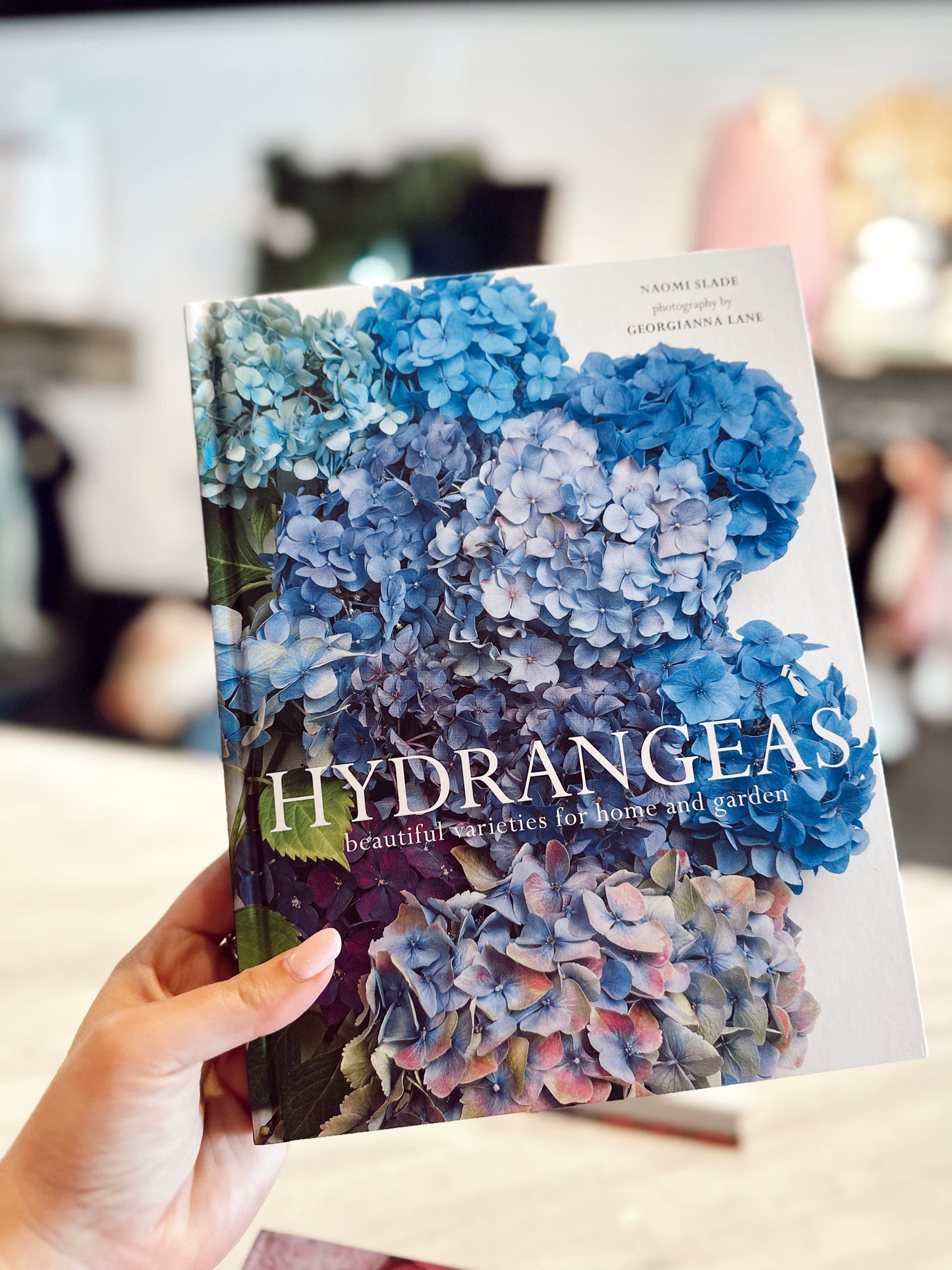 Hydrangeas coffee table book